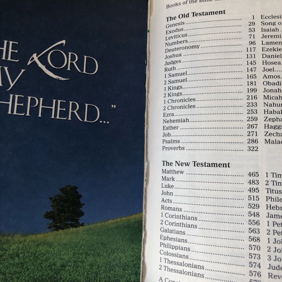 Painted Bible (KJV) - Picture 4 of 5